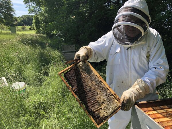 Récupération d'un cadre d'une des ruches de l'OPE